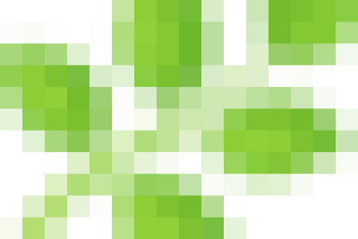 Hoạt động trải nghiệm: Thăm vườn sau, bắt sâu cho rau